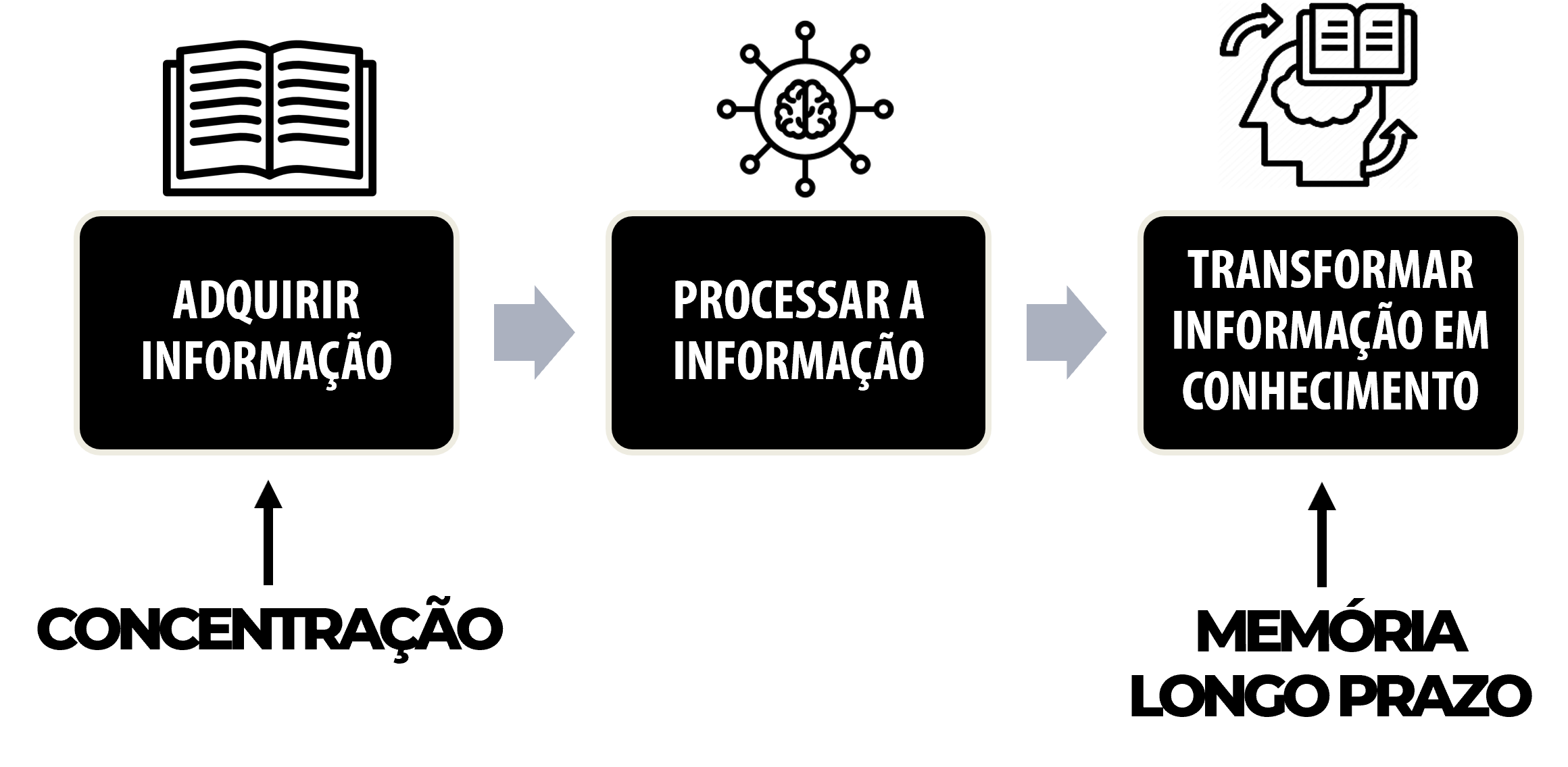 A Ciência da Memorização filipeiorio br